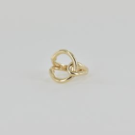 Salta ring