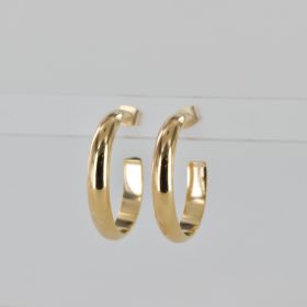 Anillaco earrings