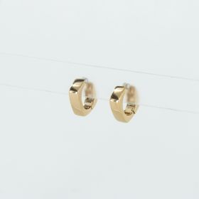 Cheyenne earrings