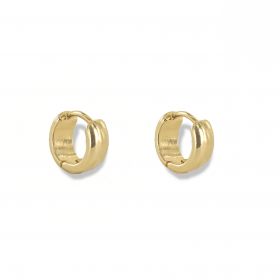 Raipur earring
