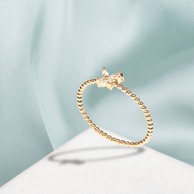 Anillo Mergui