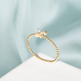 Anillo Mergui